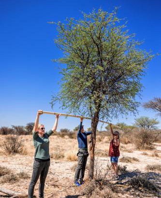 Kagisano-Molopo Cabin | Working with Wildlife Conservation Safari on Khamab Kalahari Reserve