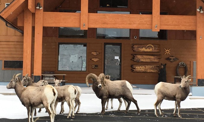 Gardiner Hotel | Yellowstone Village Inn and Suites