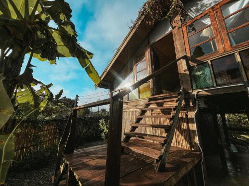 Mueang Ngai Other | Yidan Farmstay in Chiang Dao