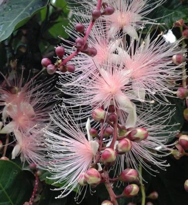 Wujie Bed & Breakfast | Yilan B&B - Happy Snail