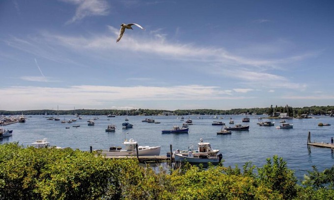 Boothbay Harbor House | You and Your Dog Will Love This Boothbay Harbor Cottage