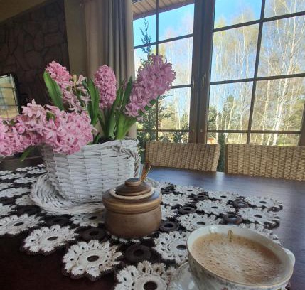 gmina Olsztyn Villa | Zacisze Jurajskie
