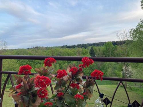 Lanckorona House | Zaciszny zakątek pod Różą