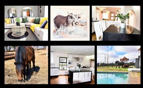 Deneysville House | Zari on Vaal Country Lodge