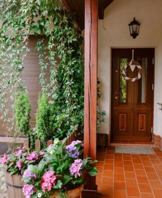 Pisz House | Zielona parcela