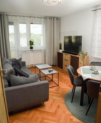 Witomino Apartment | Zielona Przystań