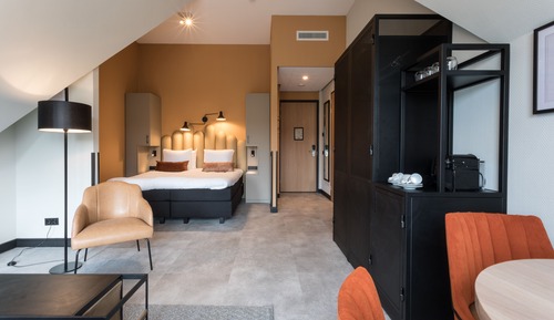 Deluxe Suite - no pets allowed