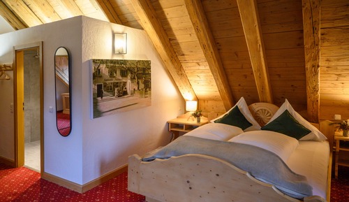 Double Room (Muehlenhotel)