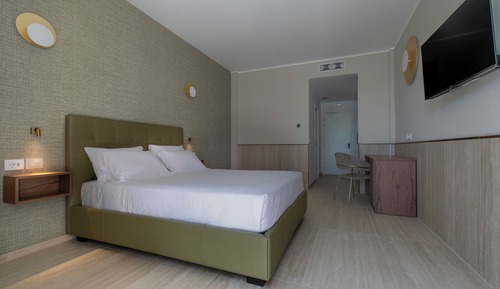 Executive Double Room (beach access included)