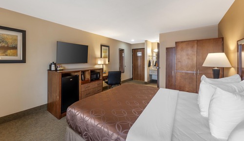 Standard Room, 1 King Bed, Non Smoking, Refrigerator & Microwave
