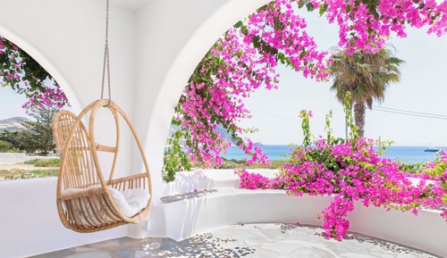 Luxury Double or Twin Room