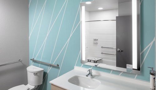 Standard Room, 1 King Bed, Accessible (Mobility, Roll-In Shower)