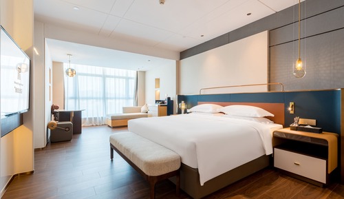 Business Single Room, 1 King Bed