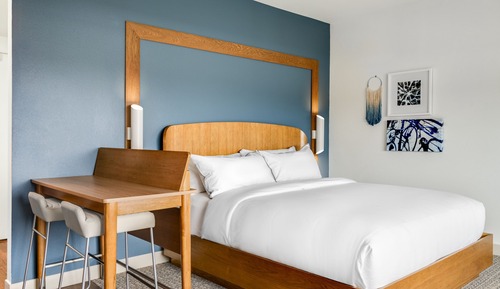 Studio, 1 King Bed with Sofa bed