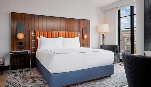 Room, 1 King Bed, Accessible (Roll-In Shower)