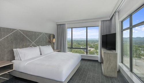 Premium Room, 1 King Bed, Mountain View (Hearing)