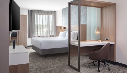 Studio Suite, 1 King Bed with Sofa bed