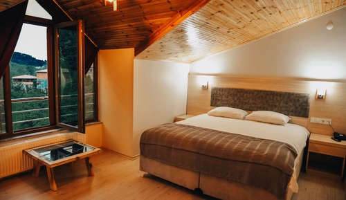 Basic Double Room, 1 King Bed, Mountain View