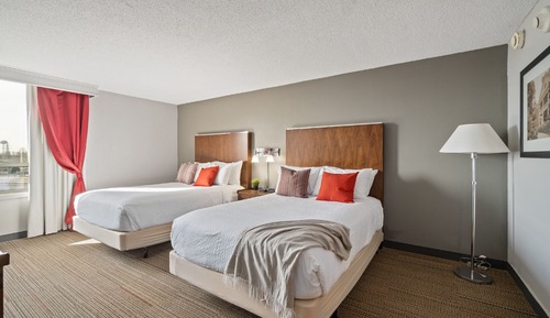 Suite, Multiple Beds