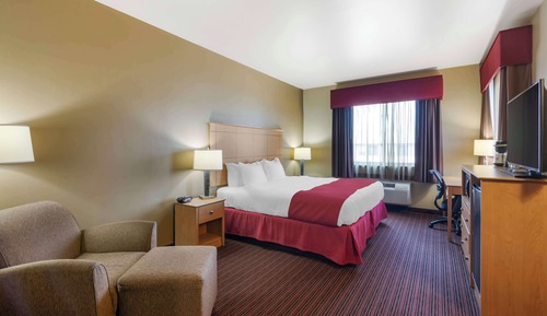 Standard Room, 1 King Bed, Non Smoking, Refrigerator & Microwave