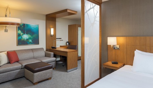 Room, 1 King Bed