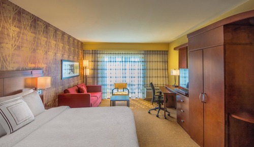 Room, 1 King Bed with Sofa bed