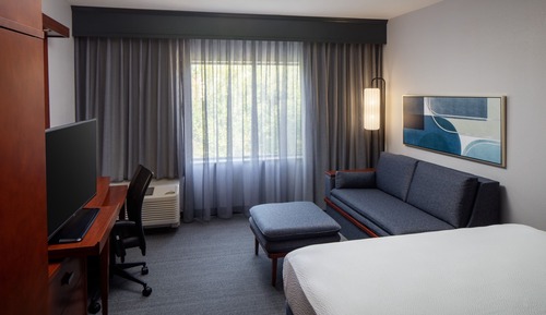 Room, 1 King Bed with Sofa bed