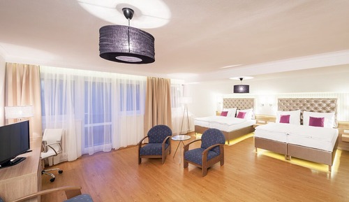 Deluxe Studio Suite, 2 Bedrooms, Mountain View