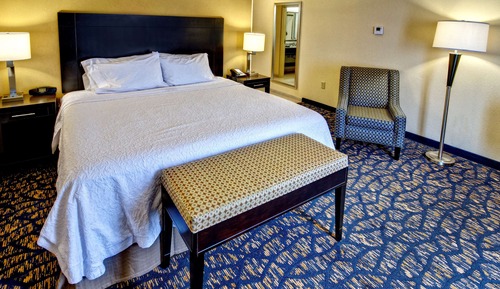 Room, 1 King Bed, Non Smoking, Refrigerator & Microwave