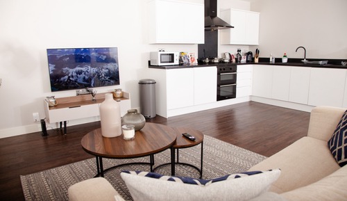 Luxury Apartment