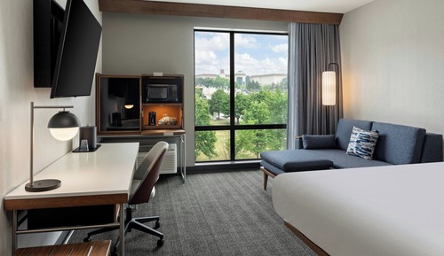 Standard Room, 1 King Bed with Sofa bed