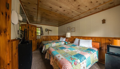 Basic Cabin