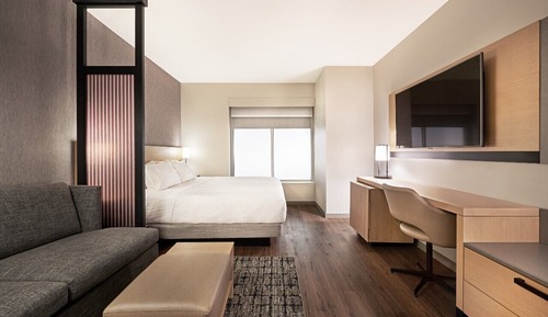 Room, 1 King Bed with Sofa bed, Accessible, Bathtub (Specialty)
