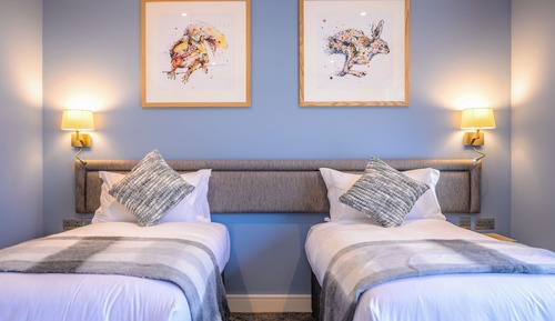 Superior Double Room, 1 King Bed, Balcony, Garden View