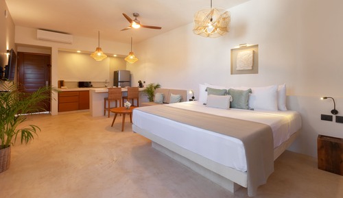 Studio Suite