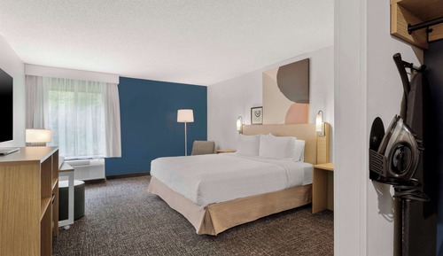 Room, 1 King Bed, Accessible (Mobility & Hearing, Roll-in Shower)