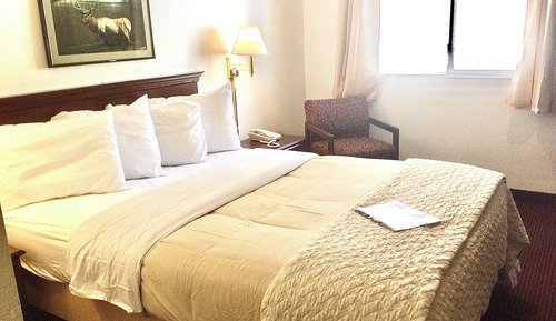 Basic Room