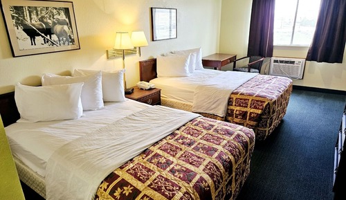 Basic Double Room