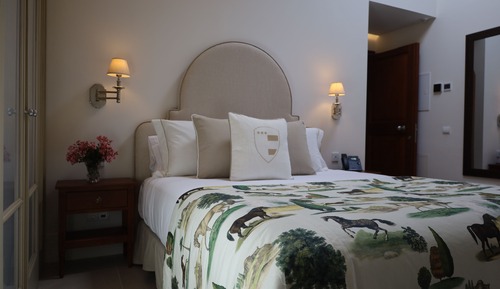 Deluxe Double Room (Abuhardillada II)