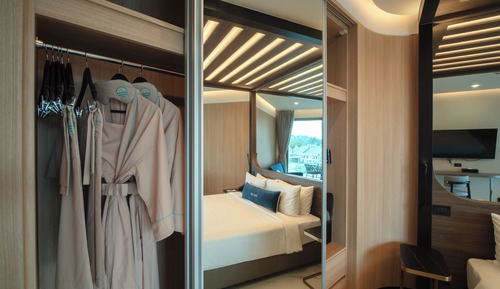 Premium Double Room, 1 King Bed (Wellness Deluxe Room)