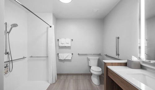 Standard Room, 1 King Bed, Roll-in Shower (Mobility, Roll In Shower)