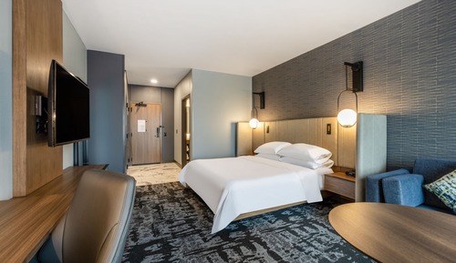 Room, 1 King Bed with Sofa bed, Accessible