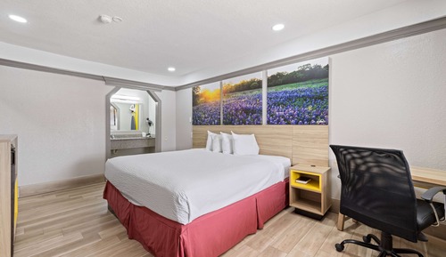 Room, 1 King Bed, Non Smoking