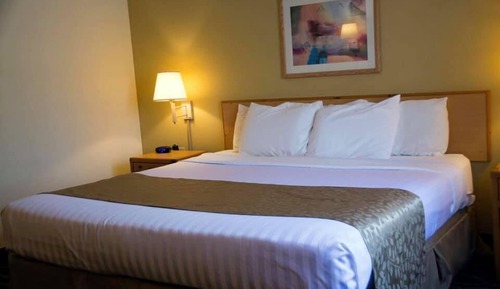 Room, One King Bed, Accessible Roll in Shower, Non Smoking