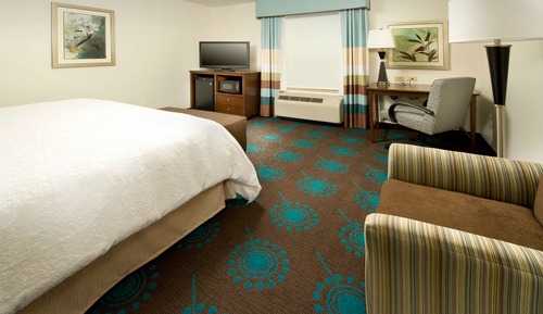 Room, 1 King Bed, Non Smoking