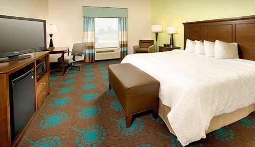 Room, 1 King Bed, Accessible, Non Smoking (Roll-in Shower)