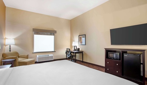 Standard Room, 1 King Bed, Accessible, Non Smoking (Walk-in Shower)