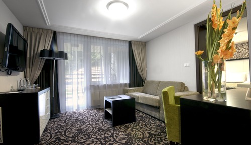 Junior Suite (for Single Use)