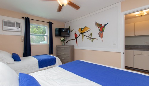 Suite 9 Not Pet-Friendly