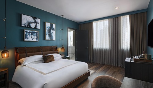Room, 1 King Bed, Accessible (City View, Roll-in Shower)